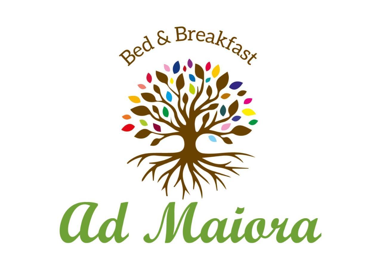Ad Maiora B&B San Vito Lo Capo Zewnętrze zdjęcie